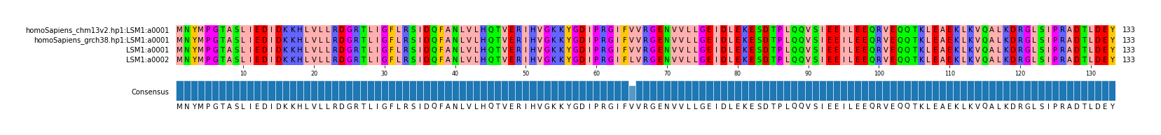 Multiple Alignments (by translate haplotype similarity)