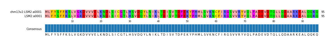 Multiple Alignments (by translate haplotype similarity)