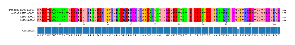 Multiple Alignments (by translate haplotype similarity)