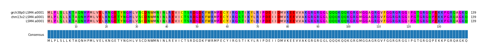 Multiple Alignments (by translate haplotype similarity)