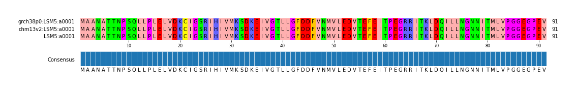 Multiple Alignments (by translate haplotype frequency)