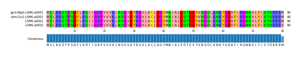 Multiple Alignments (by translate haplotype similarity)