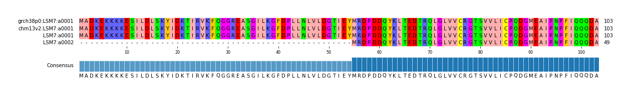 Multiple Alignments (by translate haplotype similarity)