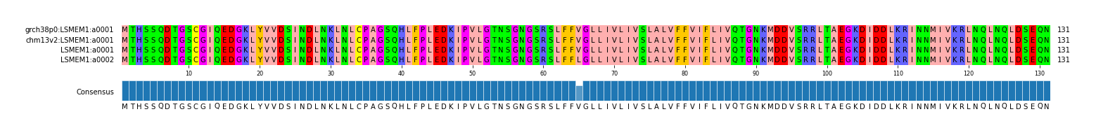 Multiple Alignments (by translate haplotype frequency)
