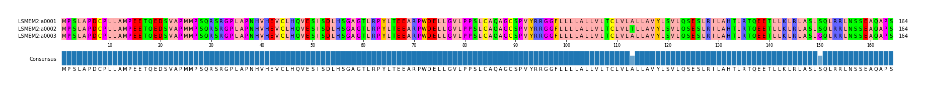 Multiple Alignments (by translate haplotype frequency)