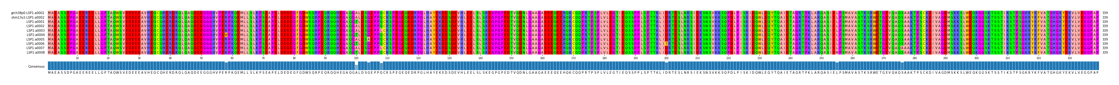 Multiple Alignments (by translate haplotype frequency)