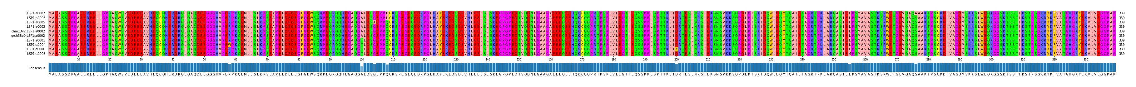 Multiple Alignments (by translate haplotype similarity)