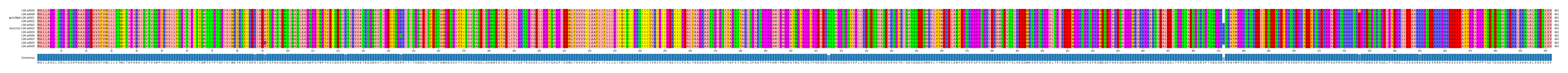 Multiple Alignments (by translate haplotype similarity)