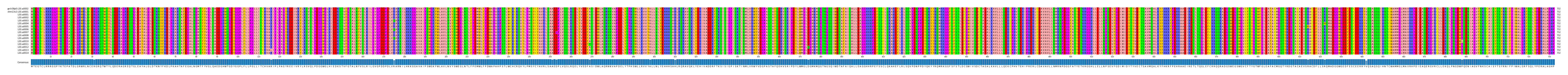 Multiple Alignments (by translate haplotype frequency)