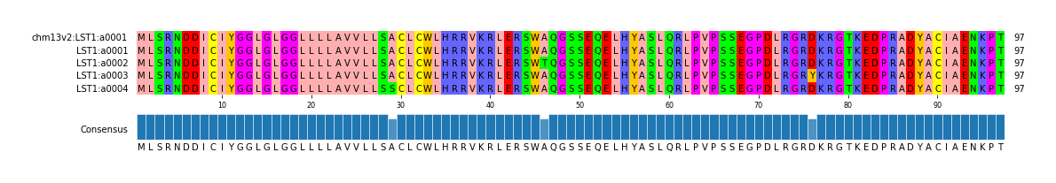 Multiple Alignments (by translate haplotype frequency)