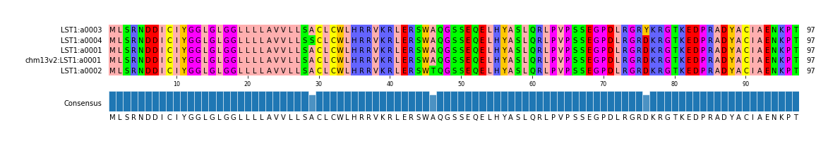 Multiple Alignments (by translate haplotype similarity)