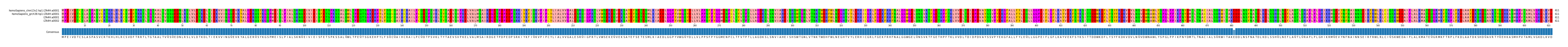 Multiple Alignments (by translate haplotype similarity)