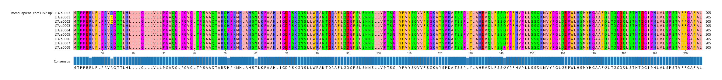 Multiple Alignments (by translate haplotype frequency)