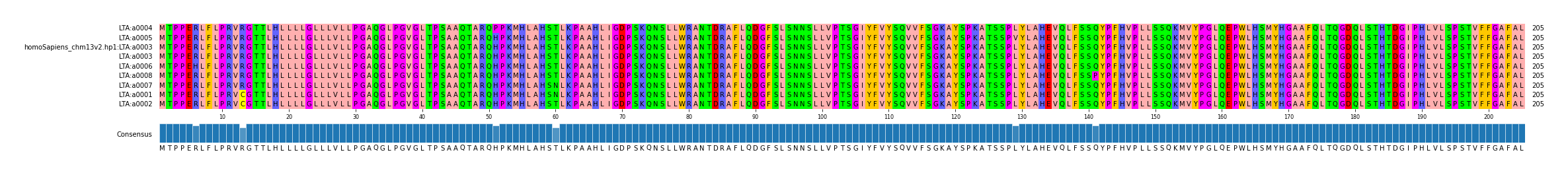 Multiple Alignments (by translate haplotype similarity)