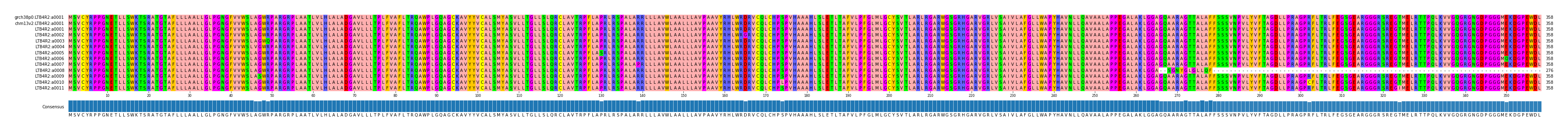 Multiple Alignments (by translate haplotype frequency)