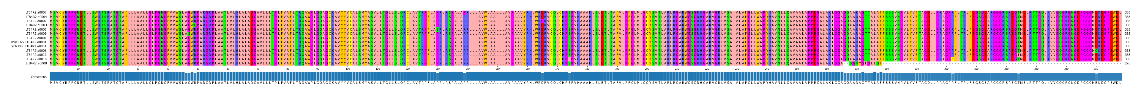 Multiple Alignments (by translate haplotype similarity)