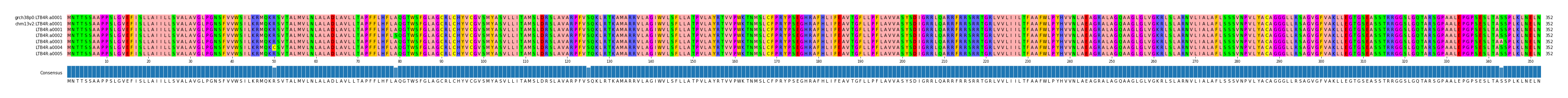 Multiple Alignments (by translate haplotype frequency)