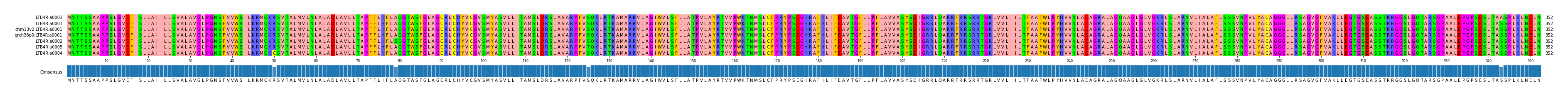 Multiple Alignments (by translate haplotype similarity)