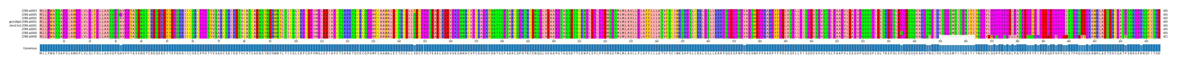 Multiple Alignments (by translate haplotype similarity)