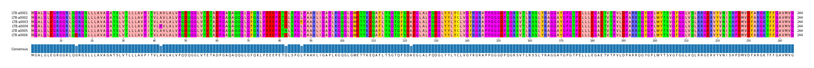 Multiple Alignments (by translate haplotype frequency)