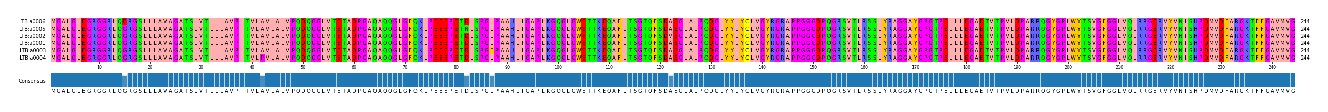 Multiple Alignments (by translate haplotype similarity)