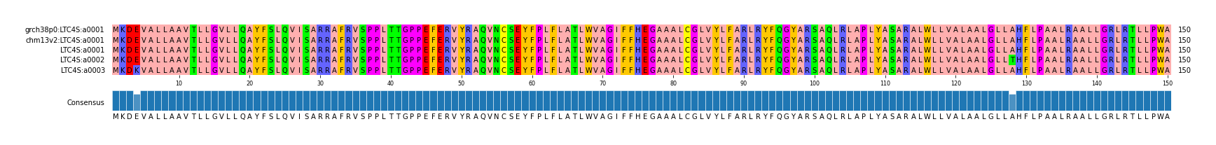 Multiple Alignments (by translate haplotype frequency)