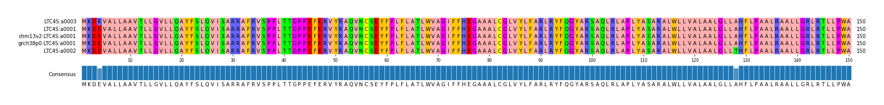 Multiple Alignments (by translate haplotype similarity)
