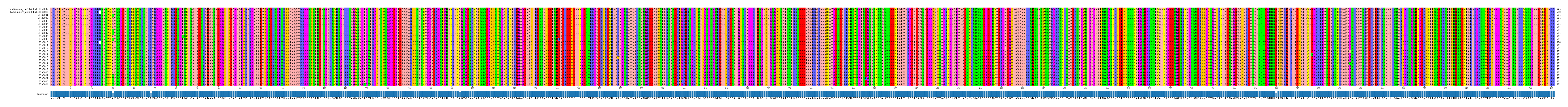 Multiple Alignments (by translate haplotype frequency)