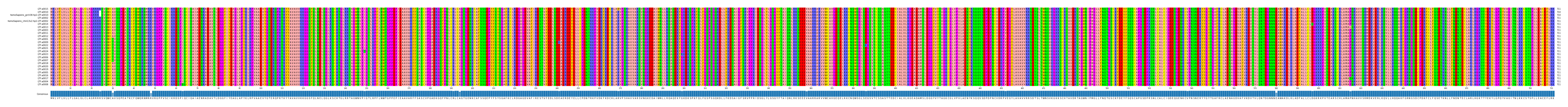 Multiple Alignments (by translate haplotype similarity)