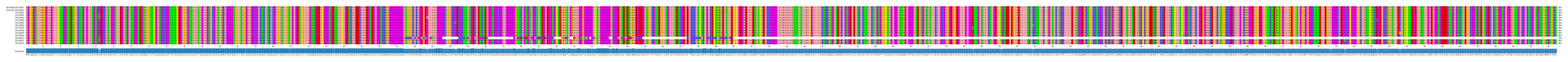 Multiple Alignments (by translate haplotype frequency)