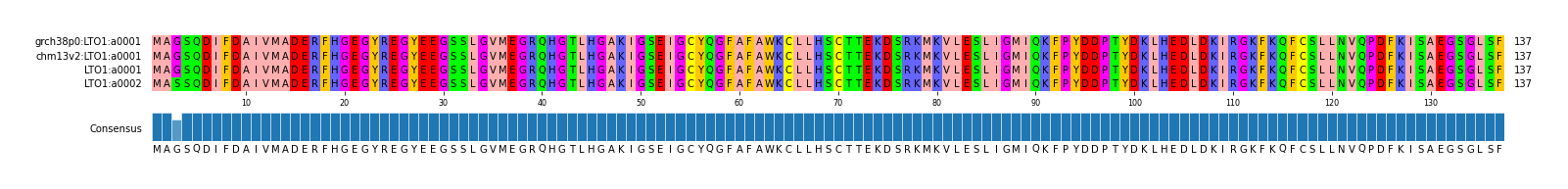 Multiple Alignments (by translate haplotype similarity)