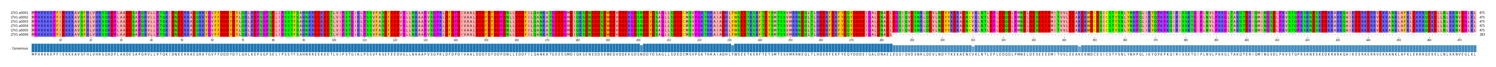 Multiple Alignments (by translate haplotype frequency)