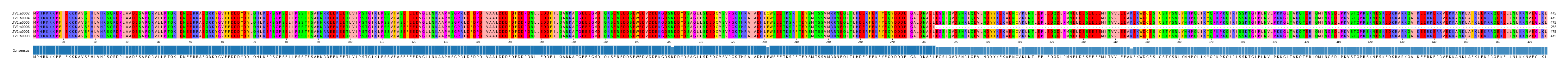 Multiple Alignments (by translate haplotype similarity)