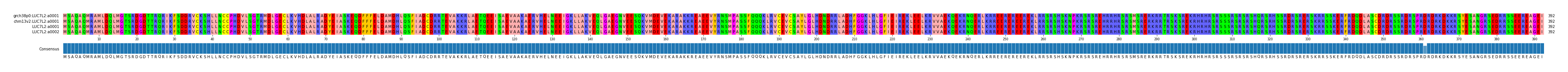 Multiple Alignments (by translate haplotype similarity)