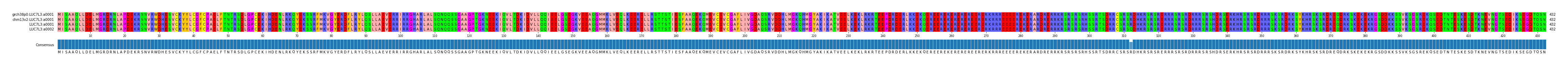 Multiple Alignments (by translate haplotype similarity)