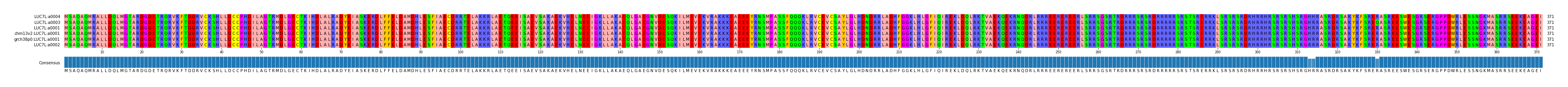 Multiple Alignments (by translate haplotype similarity)