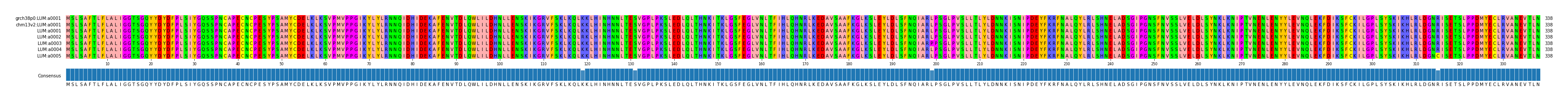 Multiple Alignments (by translate haplotype frequency)