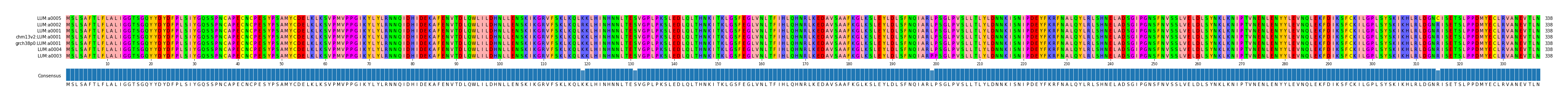 Multiple Alignments (by translate haplotype similarity)