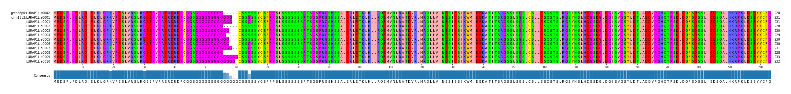 Multiple Alignments (by translate haplotype frequency)