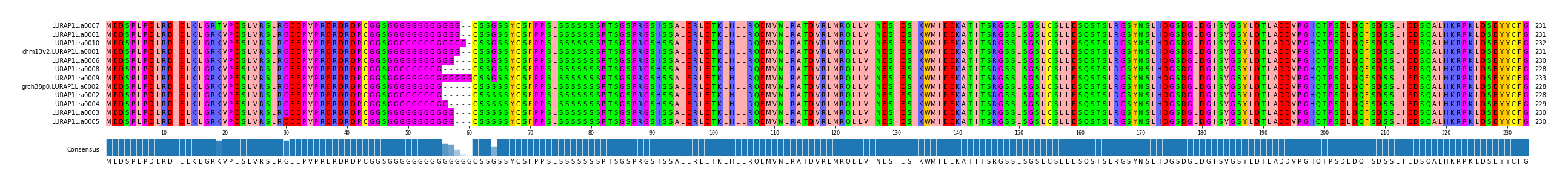 Multiple Alignments (by translate haplotype similarity)