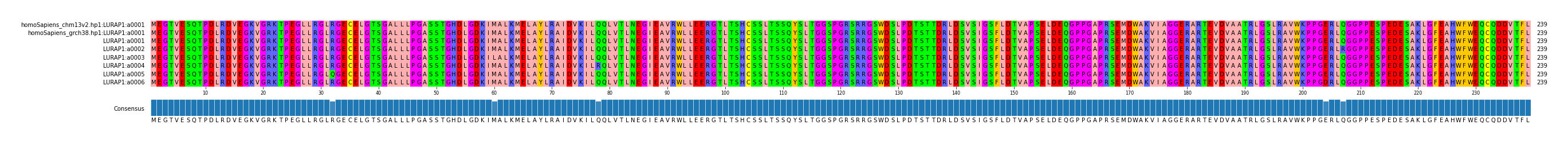 Multiple Alignments (by translate haplotype frequency)