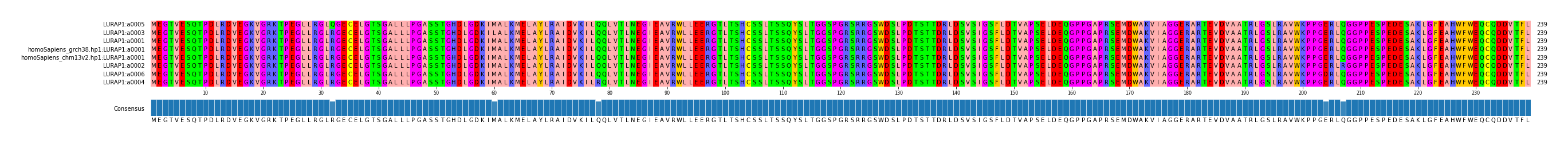 Multiple Alignments (by translate haplotype similarity)