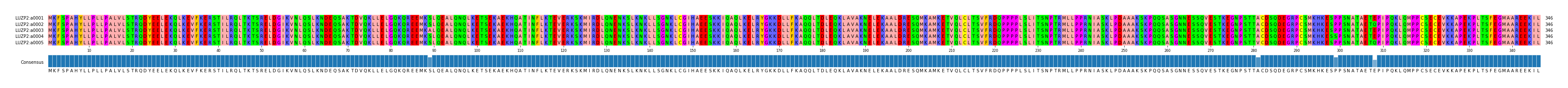 Multiple Alignments (by translate haplotype frequency)