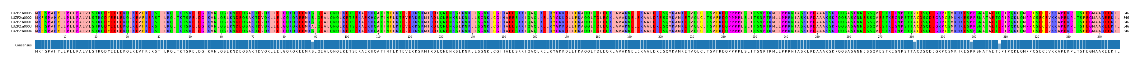 Multiple Alignments (by translate haplotype similarity)