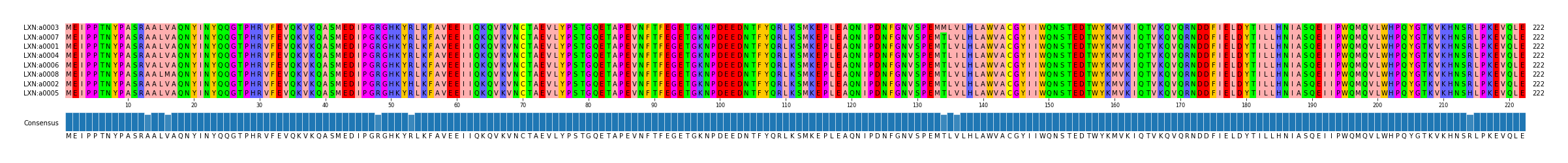 Multiple Alignments (by translate haplotype similarity)