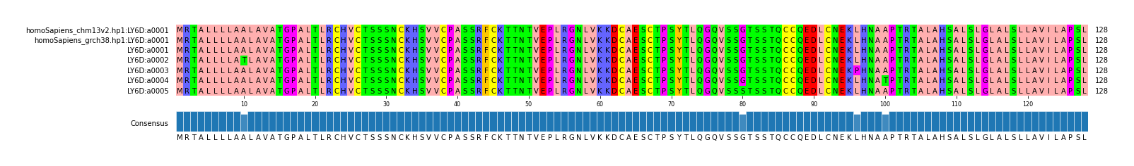 Multiple Alignments (by translate haplotype frequency)
