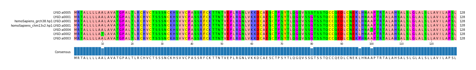 Multiple Alignments (by translate haplotype similarity)