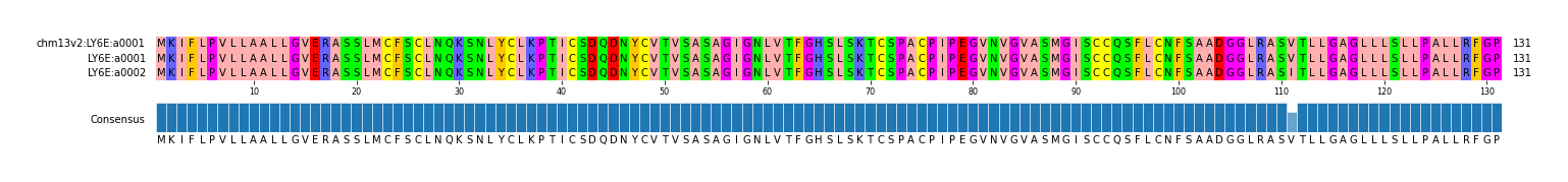 Multiple Alignments (by translate haplotype similarity)