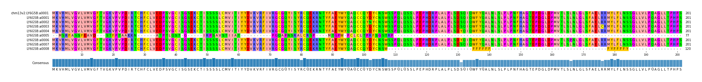 Multiple Alignments (by translate haplotype frequency)