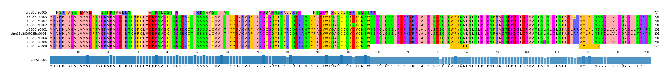 Multiple Alignments (by translate haplotype similarity)